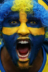 A Swedish fan before match between Irish and Swedish teams during the UEFA Euro 2016 group leg.